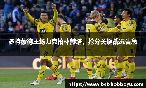 bob博鱼体育